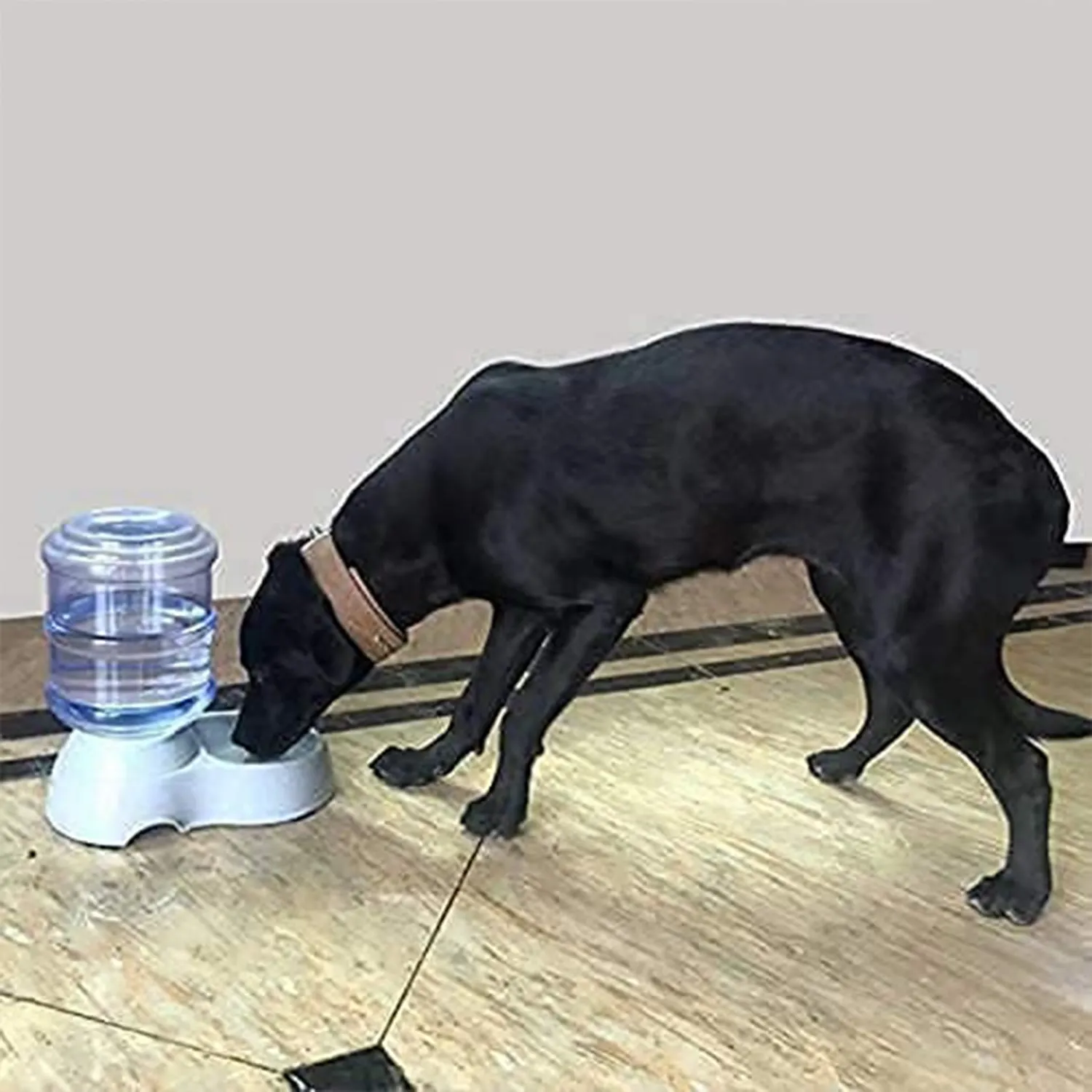Automatic Gravity Pet Water Feeder – Drinking Bowl for Cats & Dogs