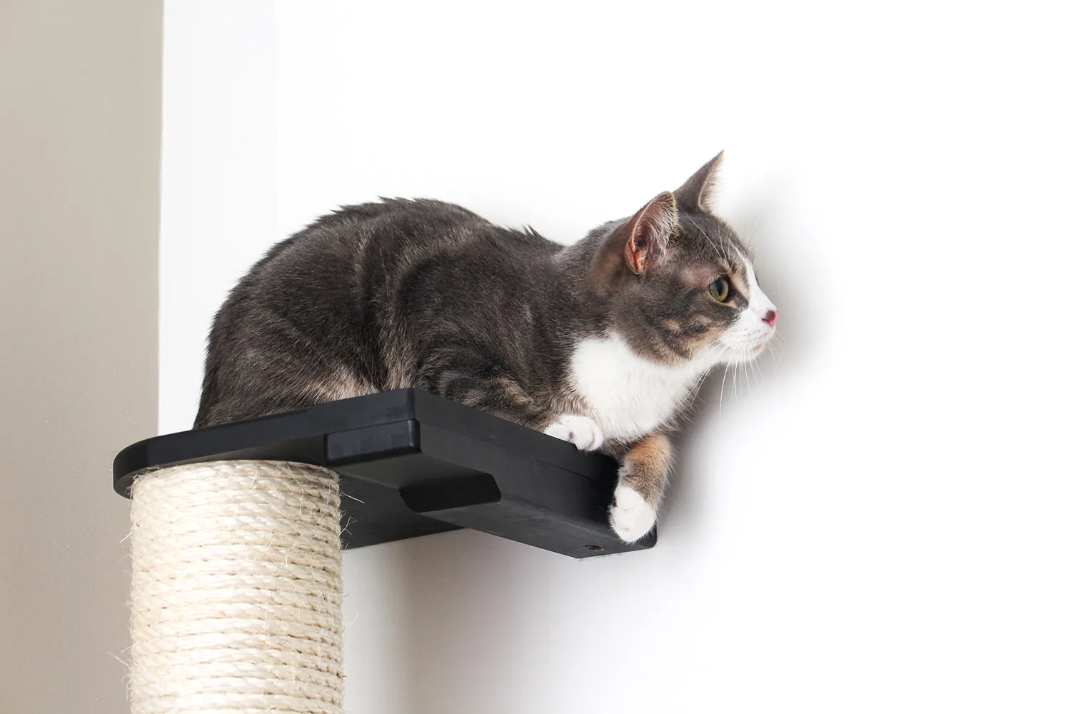 Cat Scratching Pole (Wall-Mounted)