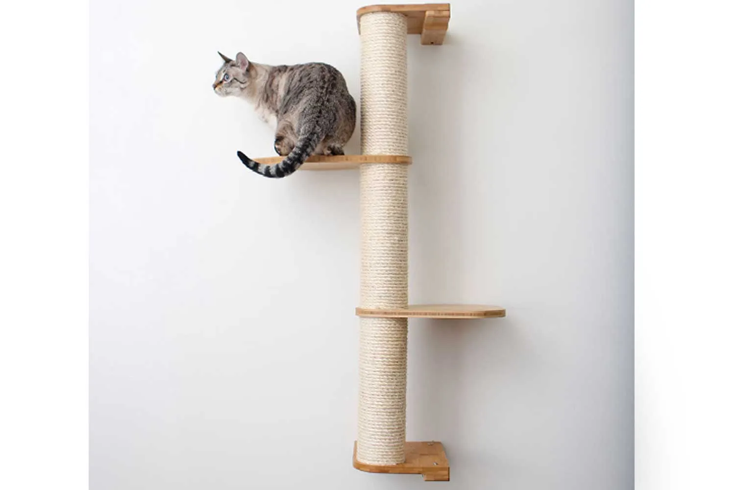 Cat Scratching Pole (Wall-Mounted)