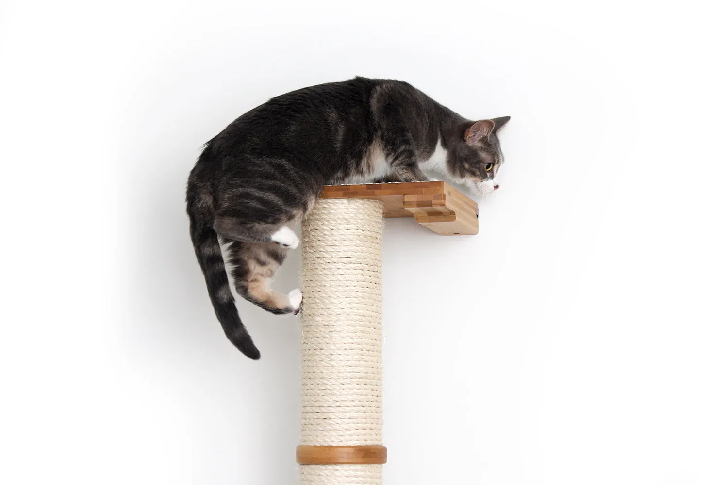 Cat Scratching Pole (Wall-Mounted)