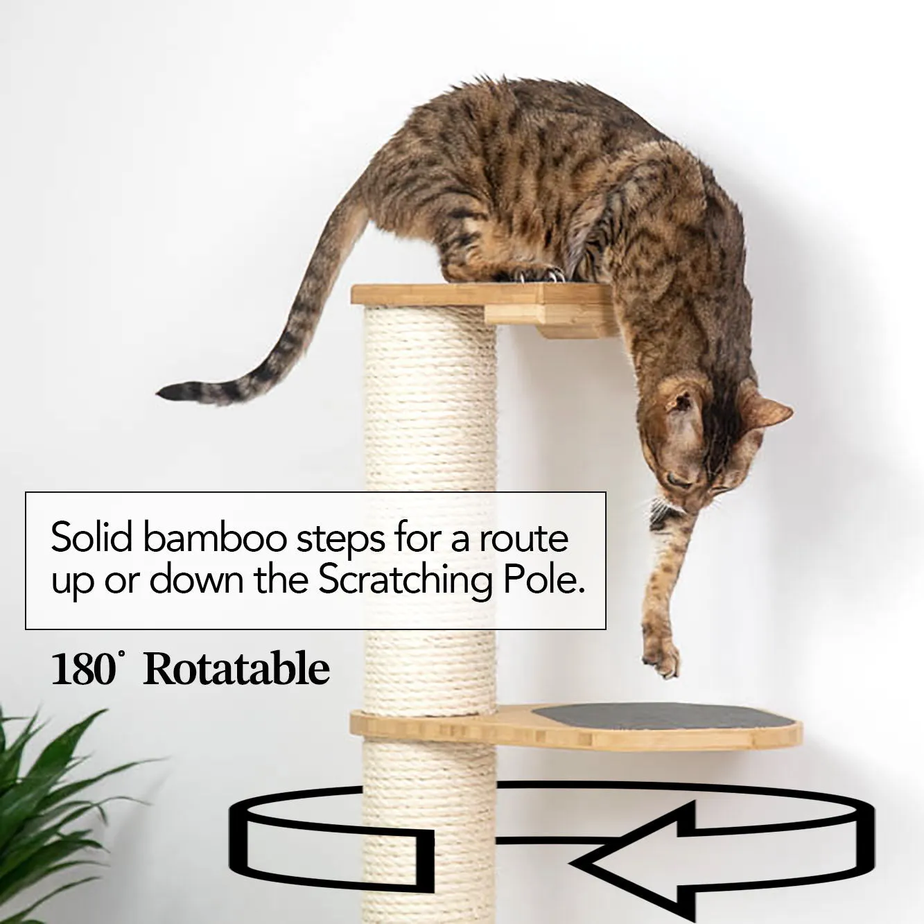Cat Scratching Pole (Wall-Mounted)