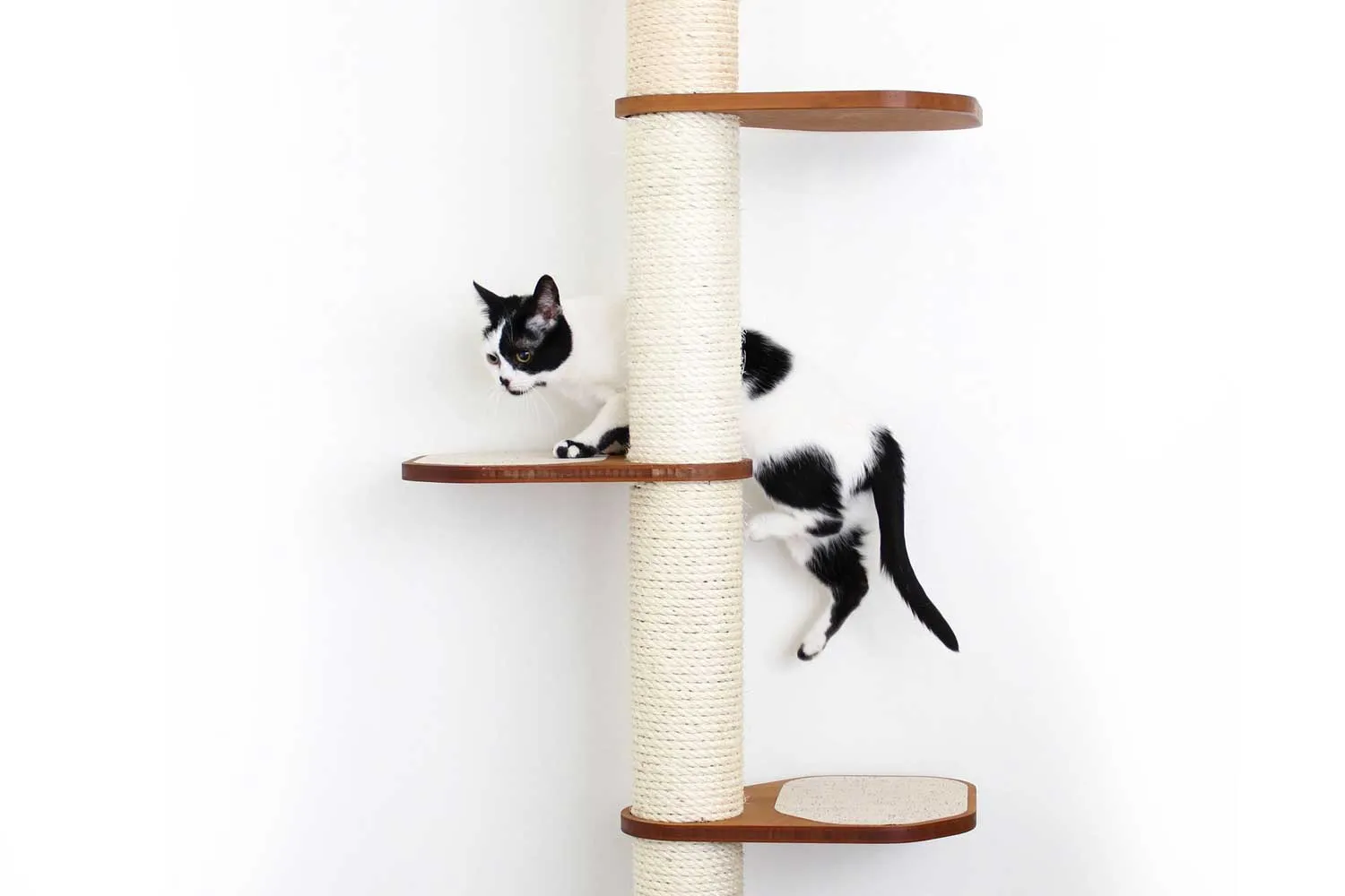 Cat Scratching Pole (Wall-Mounted)