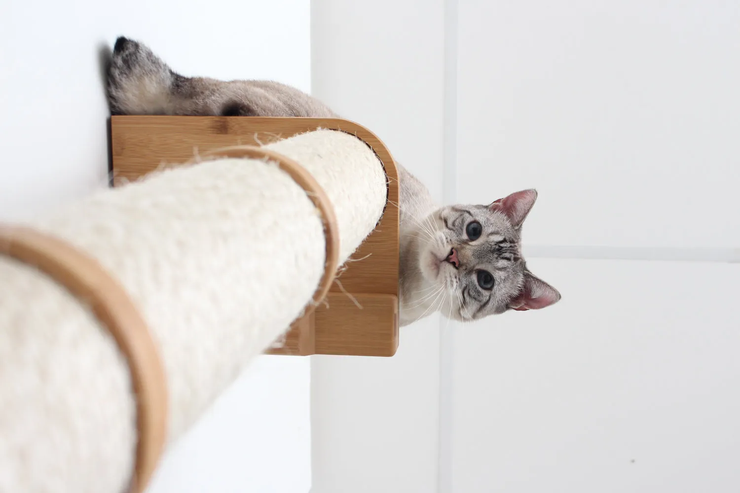 Cat Scratching Pole (Wall-Mounted)