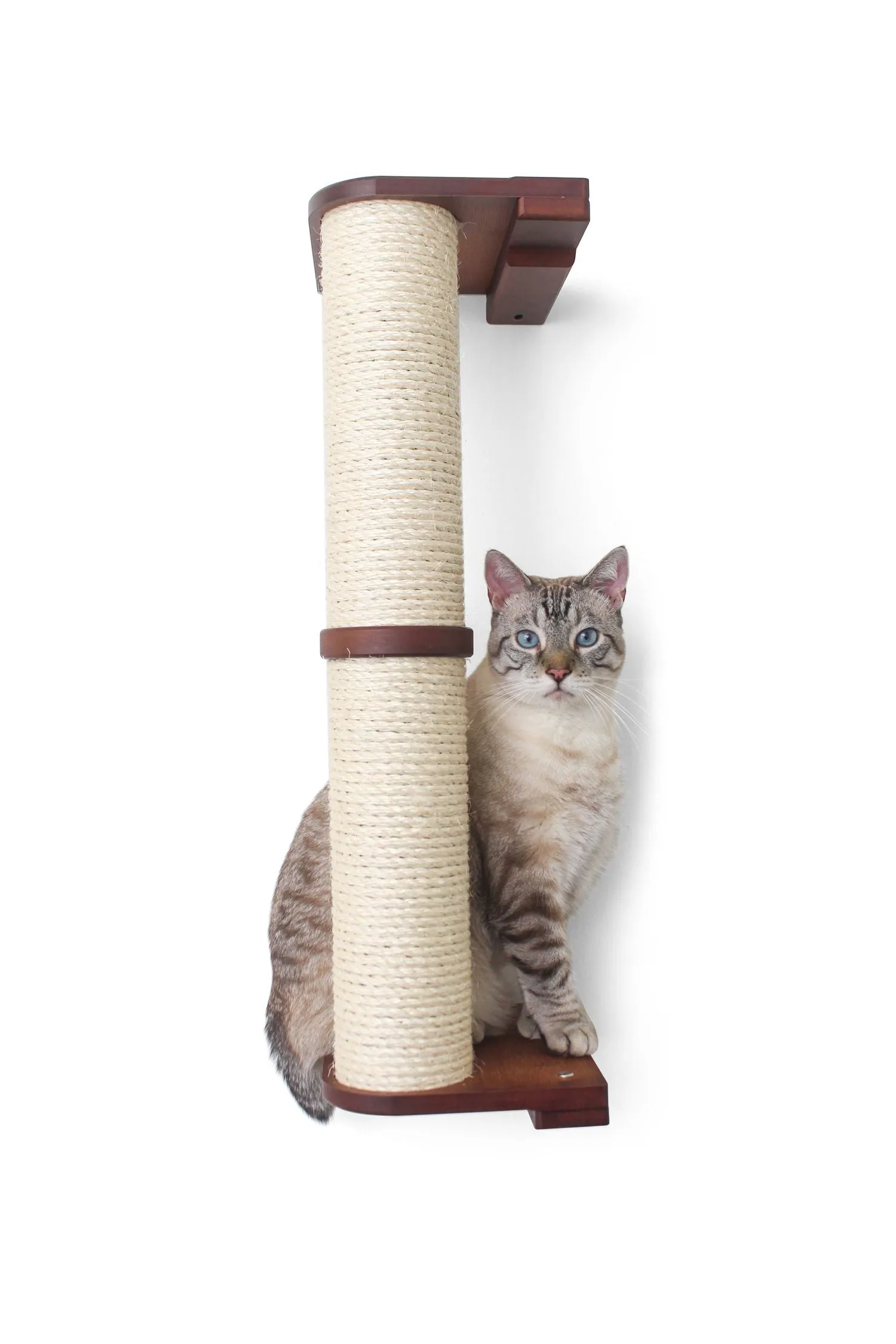 Cat Scratching Pole (Wall-Mounted)