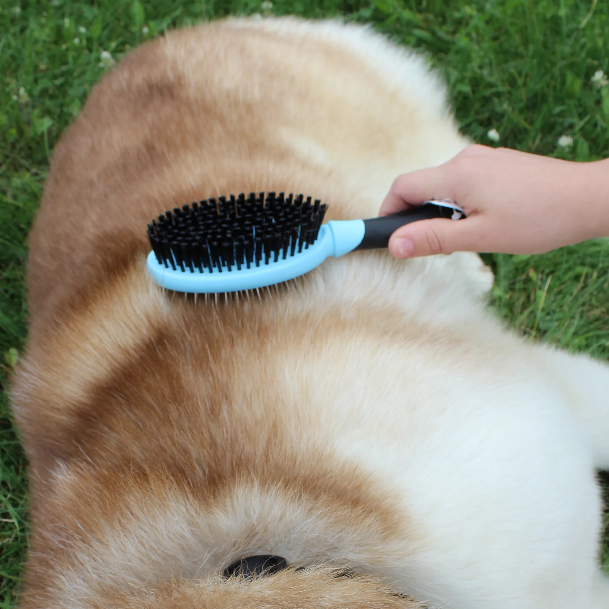 CuteNfuzzy Double Sided Pet Grooming Brush