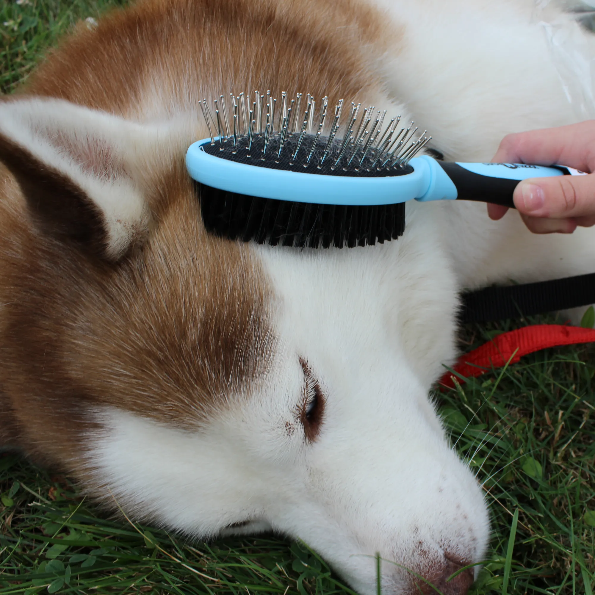 CuteNfuzzy Double Sided Pet Grooming Brush