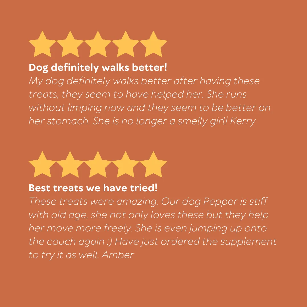 Hip & Joint Organic Treats - Rosehip, Turmeric & Supaw Blend