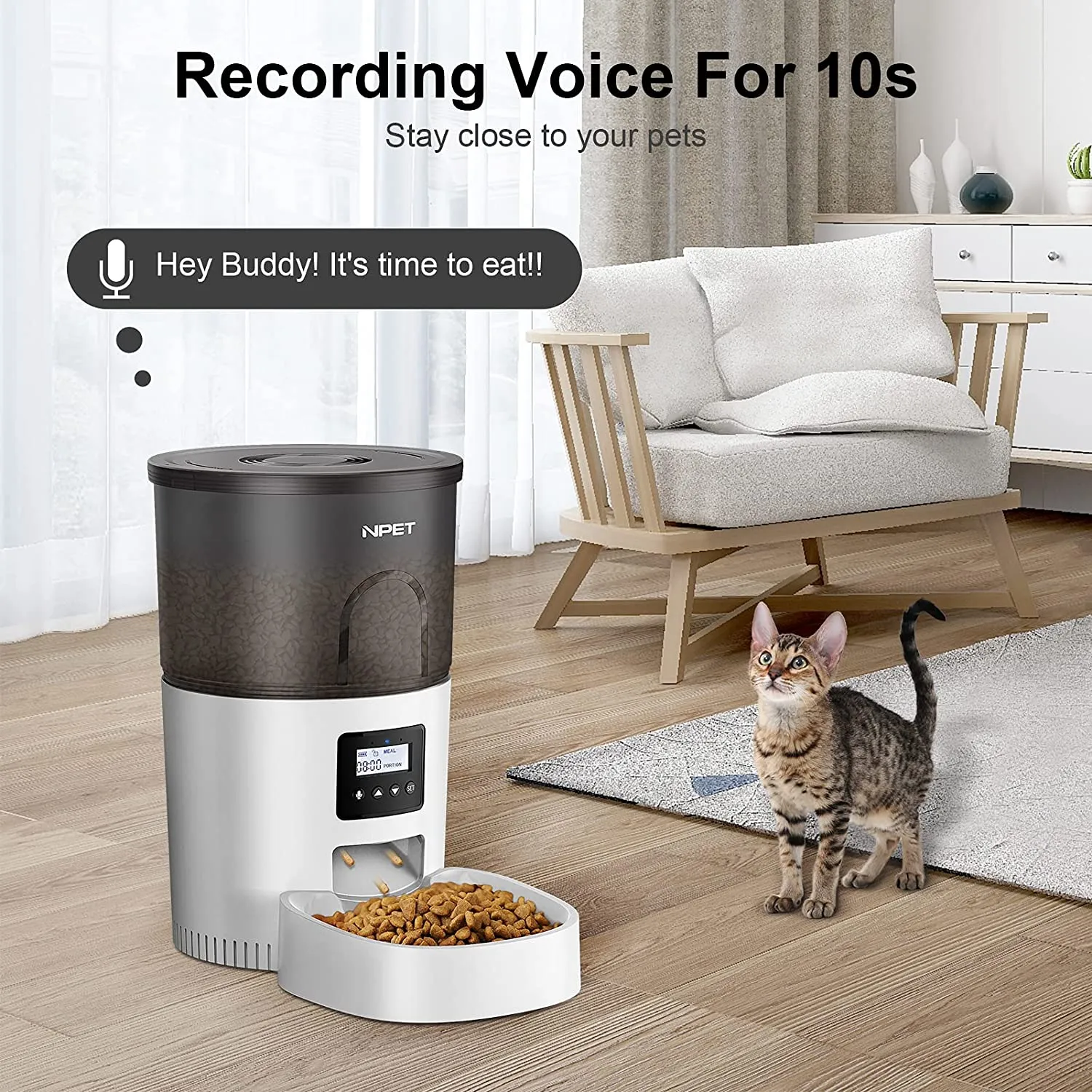 NPET 0.79 Gallon Automatic Cat Feeder Food Dispenser