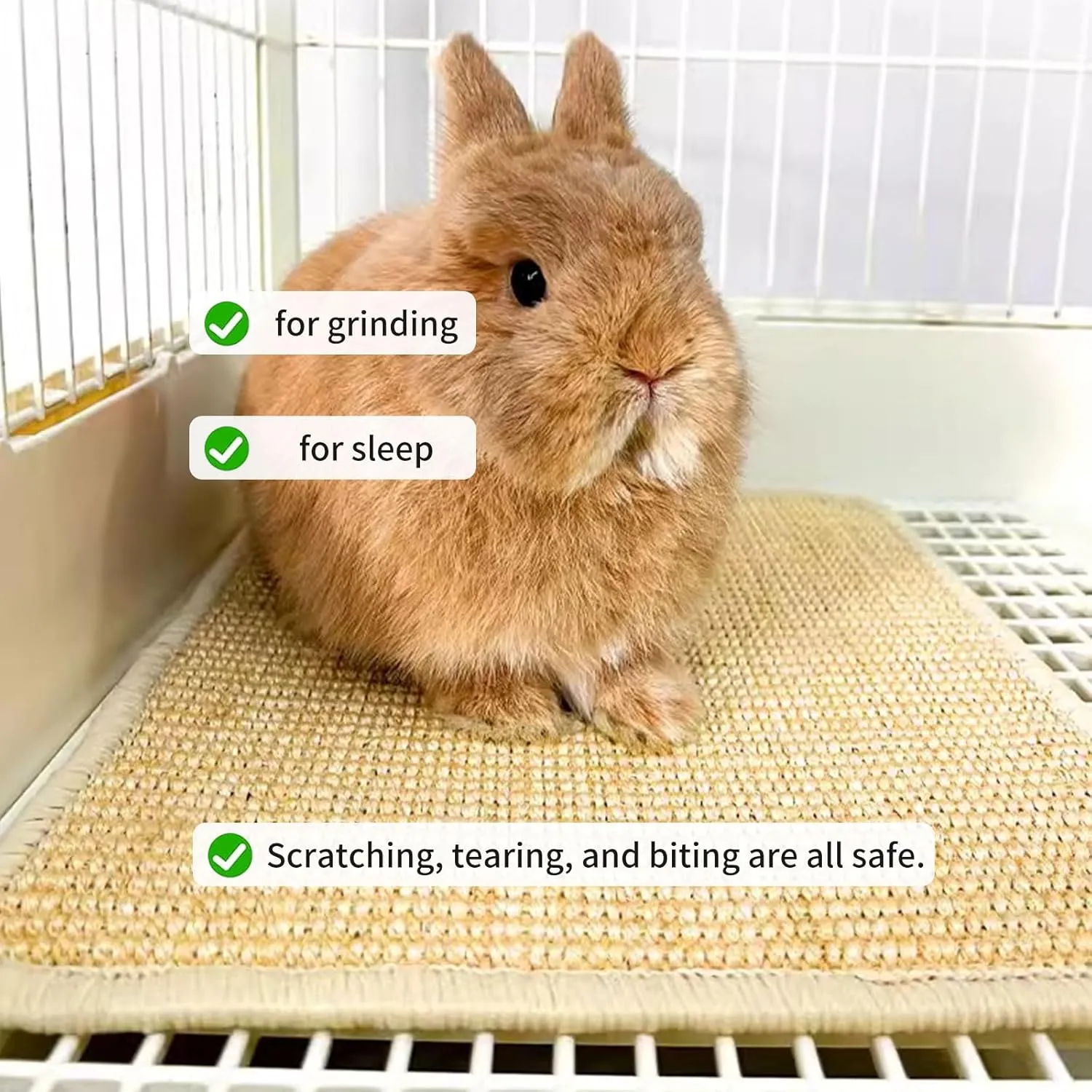 Oncpcare 2PCS Rabbit Scratch Mat Natural Bunny Scratching Pad Claws and Teeth Care Rabbit Mats for Cages Rabbit Chew Toys for Bunny Pet Cage Bedding for Biting Sleeping Nesting, 16x12