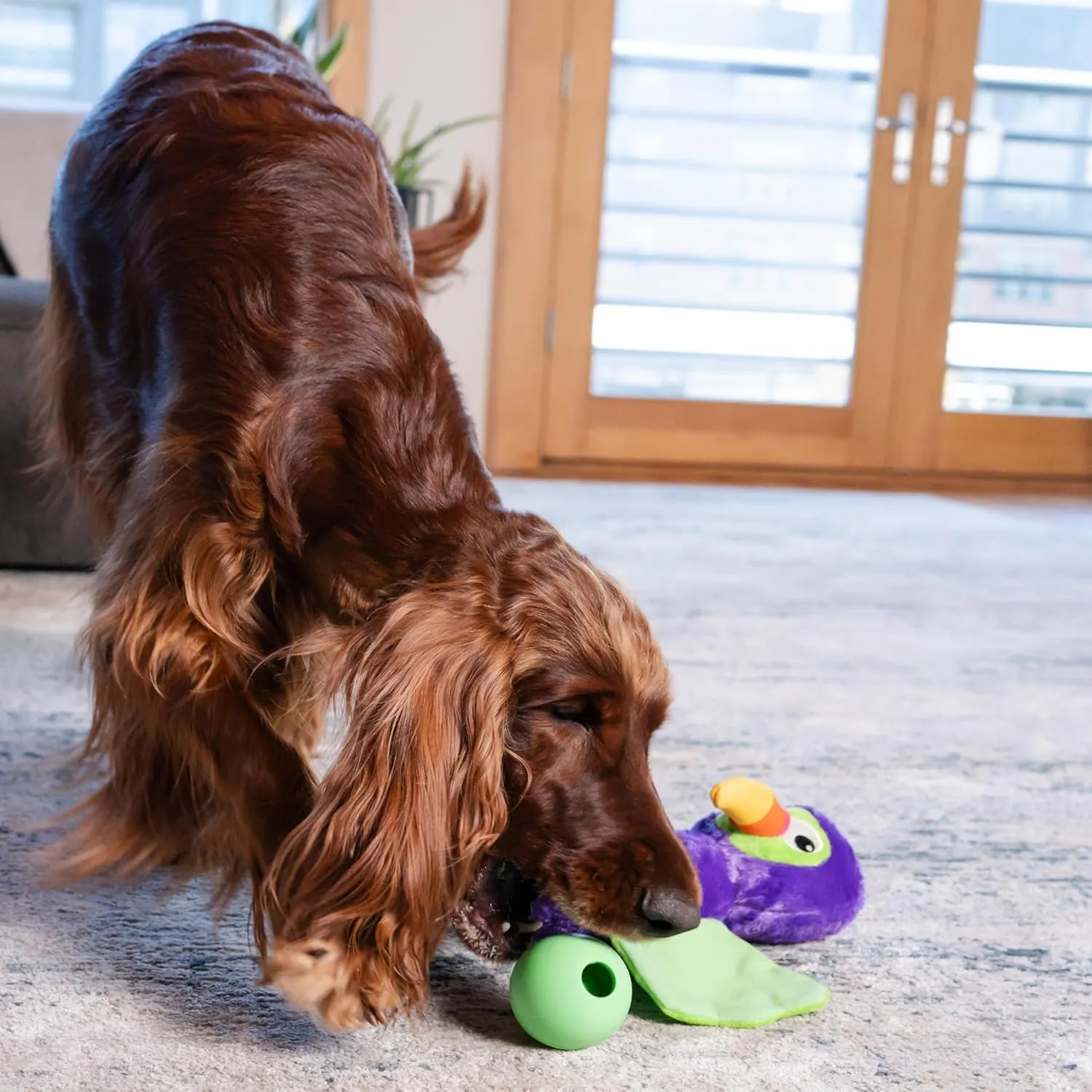 Outward Hound by Nina Ottosson Hide-Ablez Plush Dog Puzzle with Treat Ball, Toucan, Multicolored