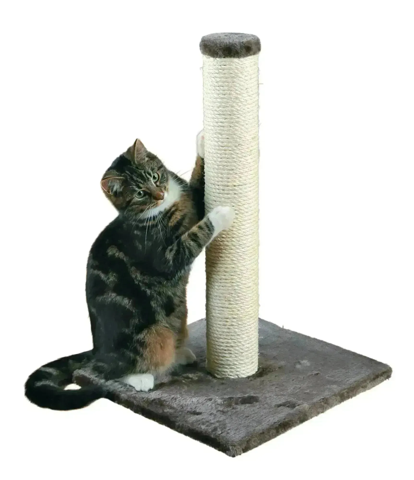 Parla Scratching Post
