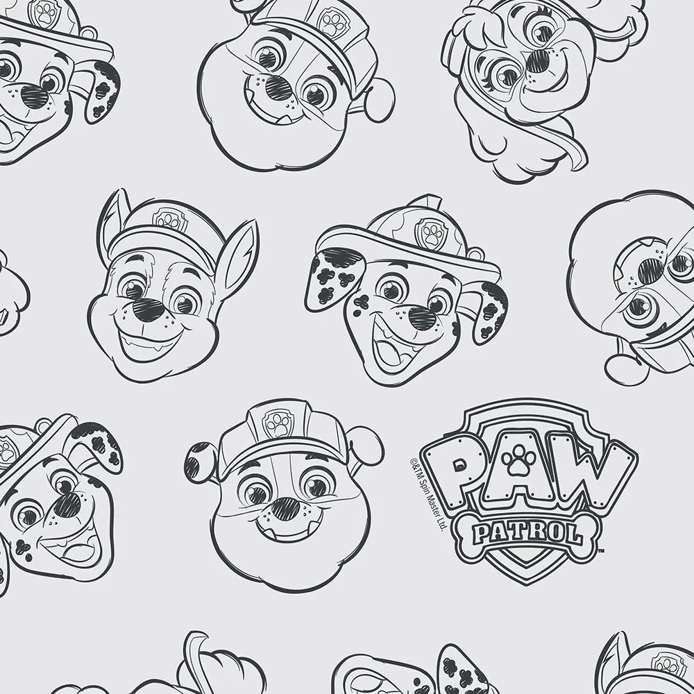 PAW Patrol Legends Throw Pillow
