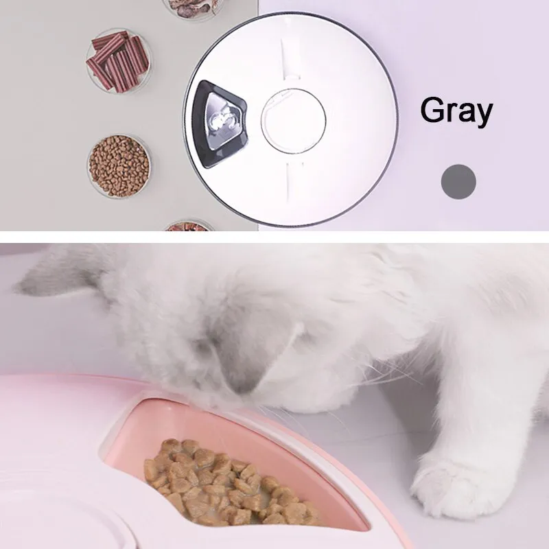 Pet Automatic Timer 6 Grids Food Dispenser