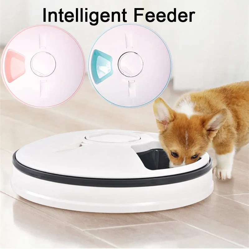 Pet Automatic Timer 6 Grids Food Dispenser