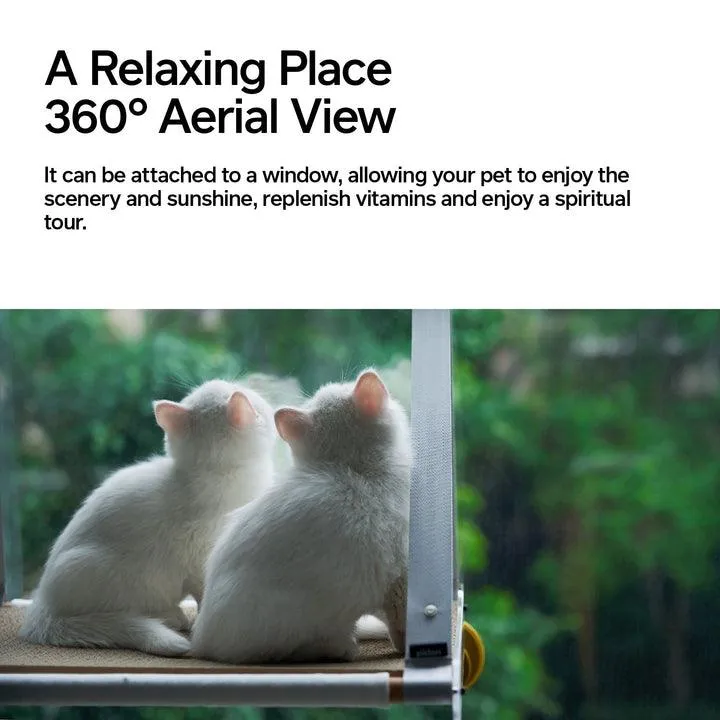 Pidan Cat Hammock Solid Beech Wood Cat Bed Wall Mounted Suction Cup Bedside Glass Hammock