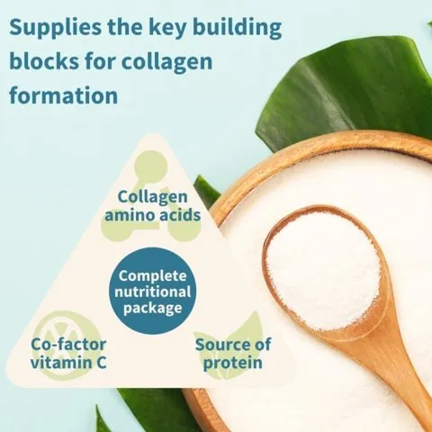 Pure & Essential Vegan Pro-Collagen Protein Powder
