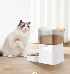 Rojak pet cat automatic feeder, cat bowl, cat and dog food intelligent feeding machine, timed and quantified cat and dog supplies