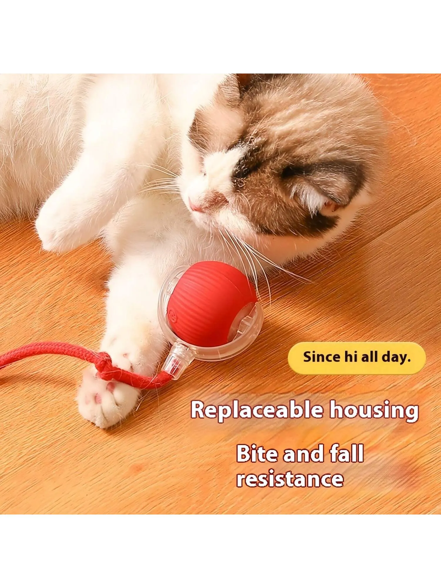 Rolling ball cat toy|1pc Pet Toy, Gravity Intelligent Rolling Ball, Electric Cat Toy
