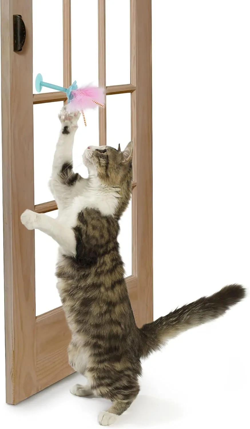 SmartyKat Window Wobbler Suction Cup Feather Cat Toy - Turquoise/Pink, One Size