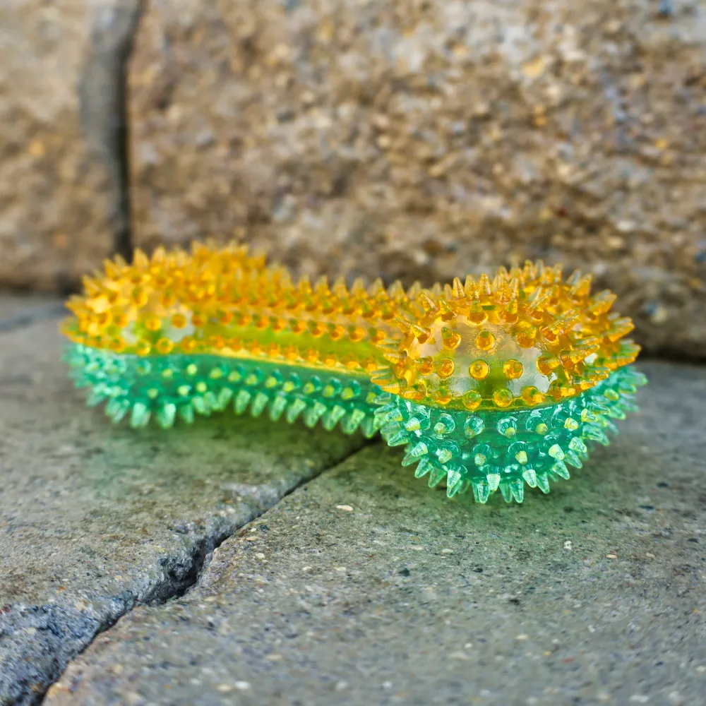 Squeaky Spike Dog Bone - 2 Colors