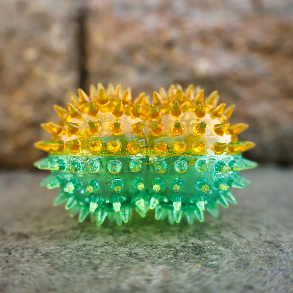 Squeaky Spike Dog Bone - 2 Colors