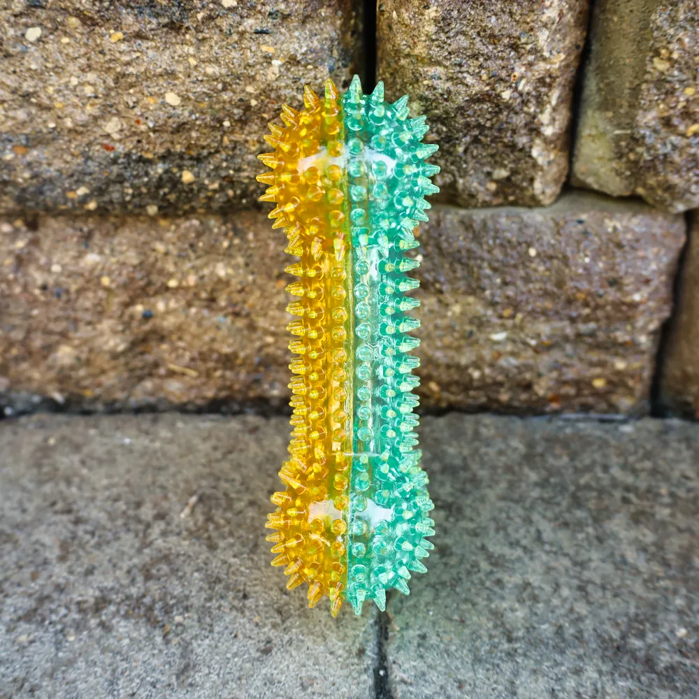 Squeaky Spike Dog Bone - 2 Colors