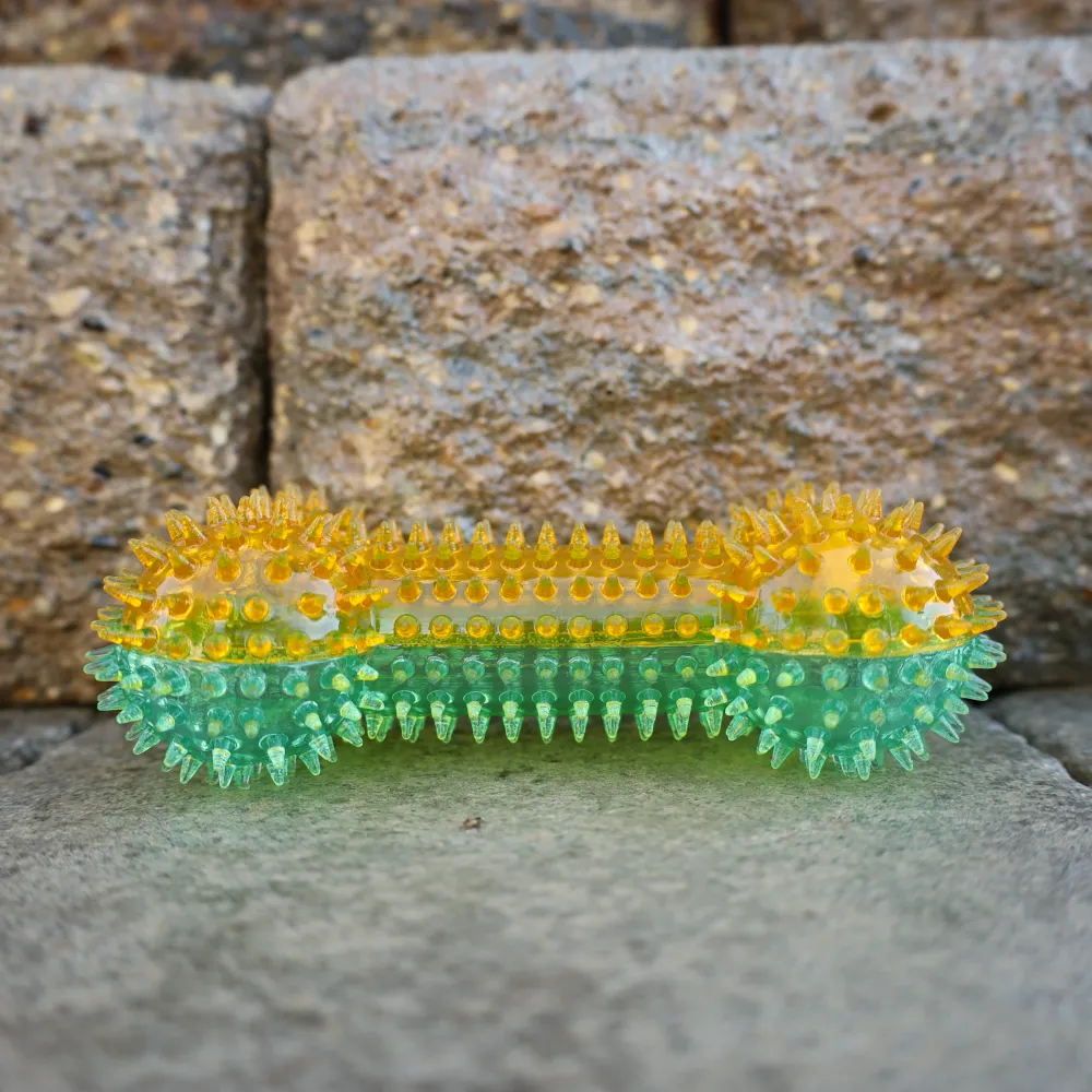 Squeaky Spike Dog Bone - 2 Colors