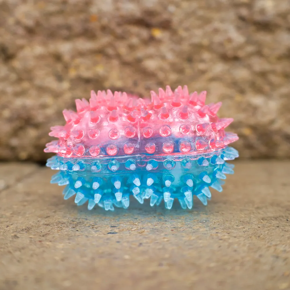 Squeaky Spike Dog Bone - 2 Colors