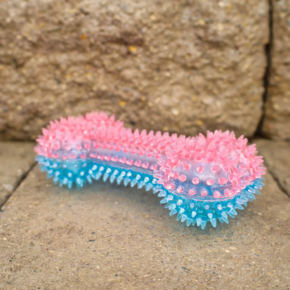 Squeaky Spike Dog Bone - 2 Colors