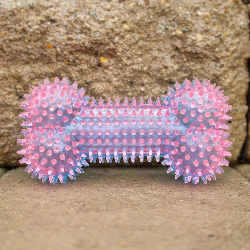 Squeaky Spike Dog Bone - 2 Colors
